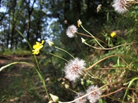 Grotta_del_Gatto - 10062012 095.jpg